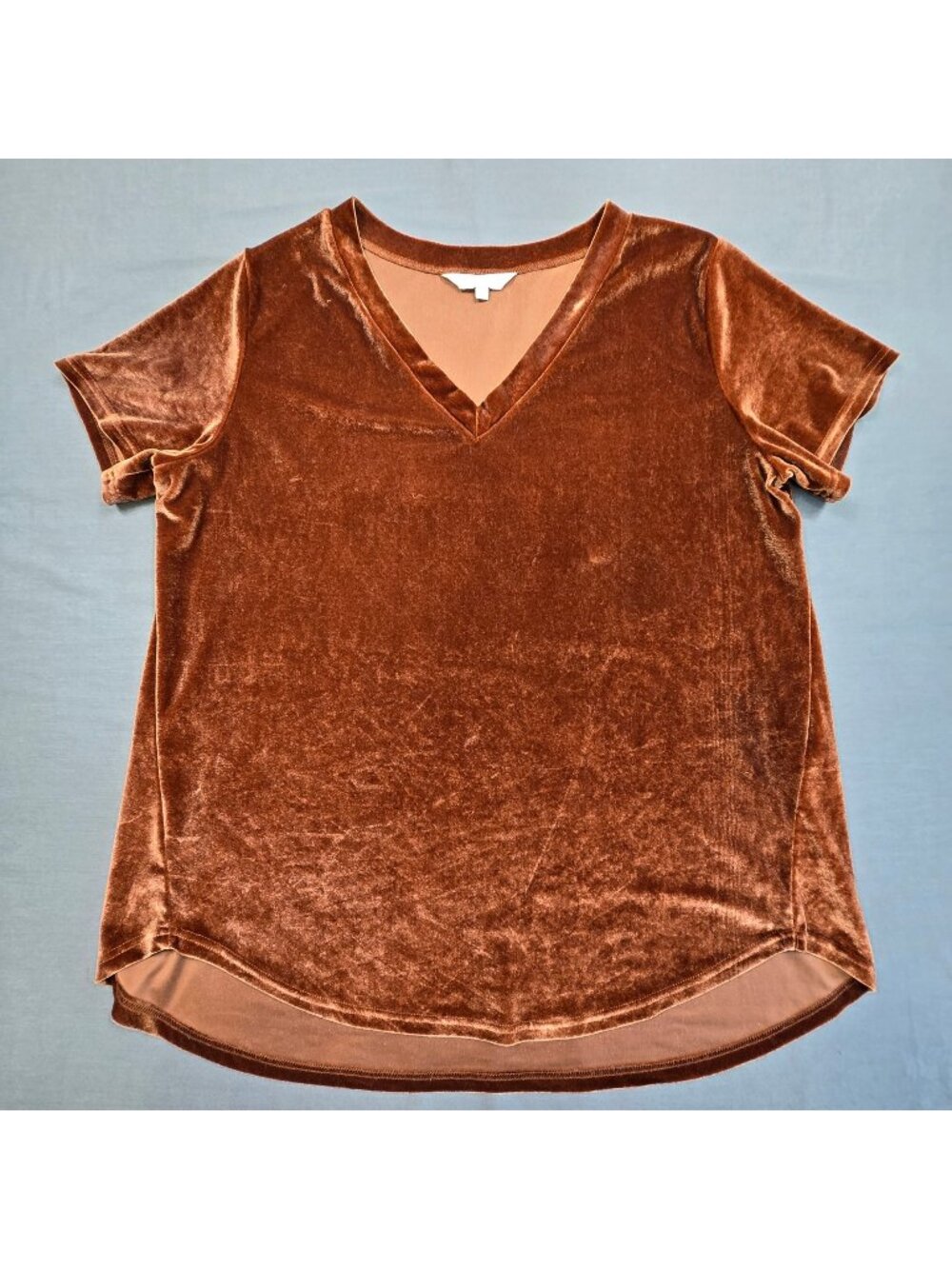 Amaryllis XL  V Neck Short Sleeve Top Bronze Velvet Velour Stretch